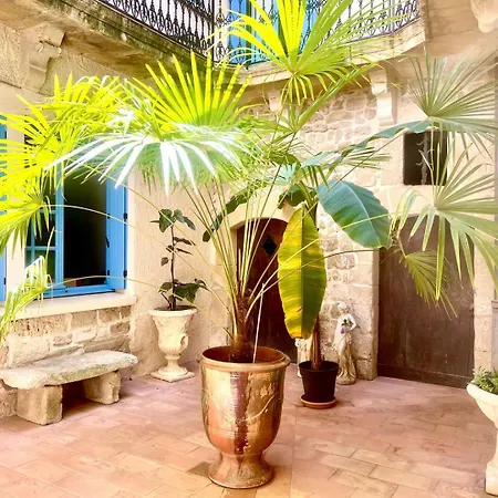 Le Logis Du Chateau , Charme Au Coeur De Sommières